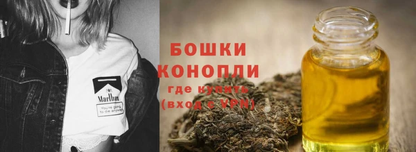 мет Инсар