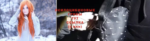 мет Инсар