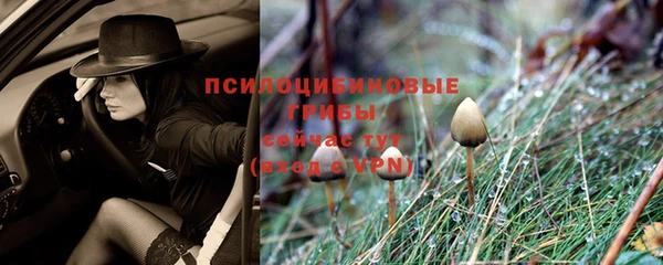 мет Инсар