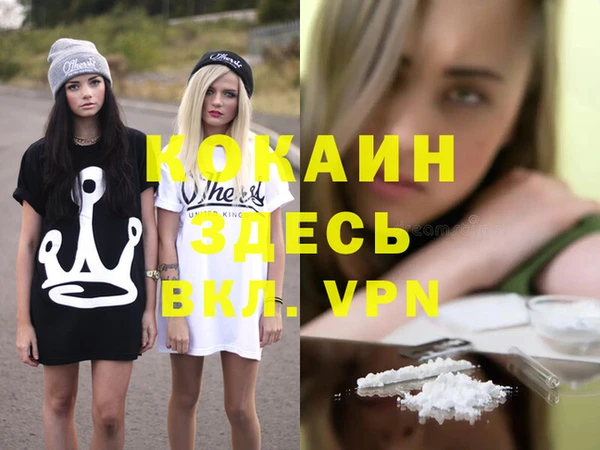 мет Инсар