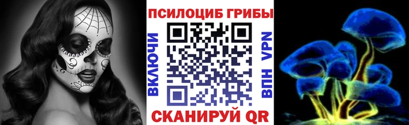 Псилоцибиновые грибы GOLDEN TEACHER  Купить  Заозёрный 